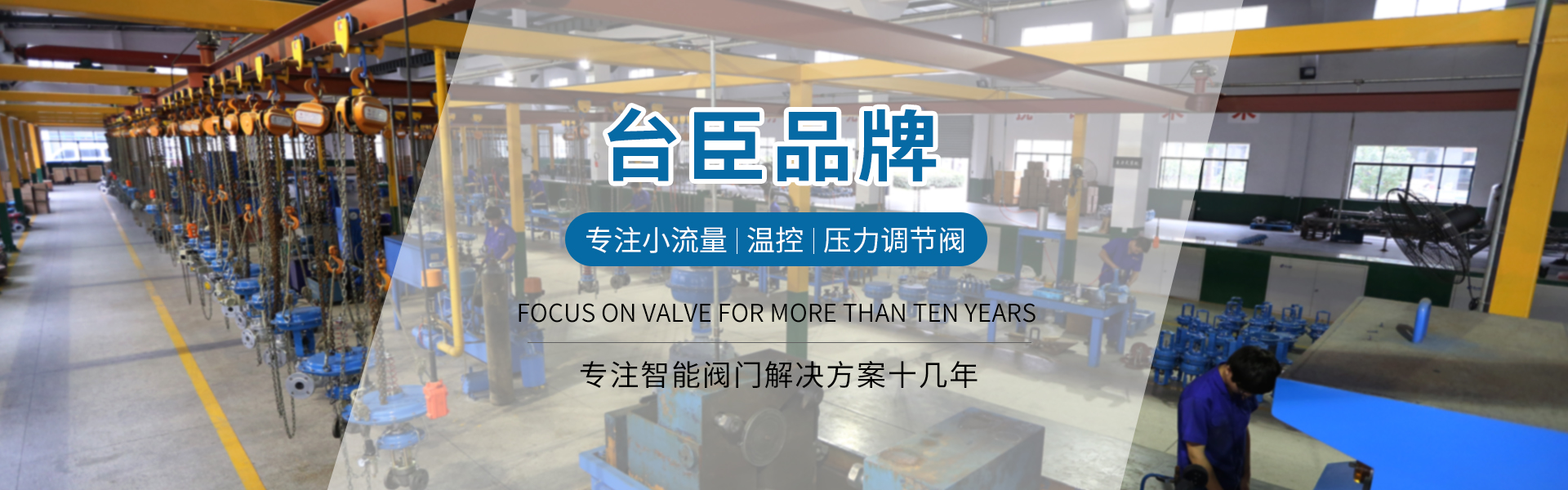 臺臣閥門-免費拿樣、提供方案、3年質(zhì)保